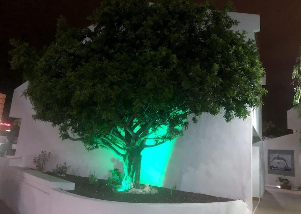 Apartamento Lucia Garden City Con Piscina Climatizada Playa Fanabe Luaran gambar