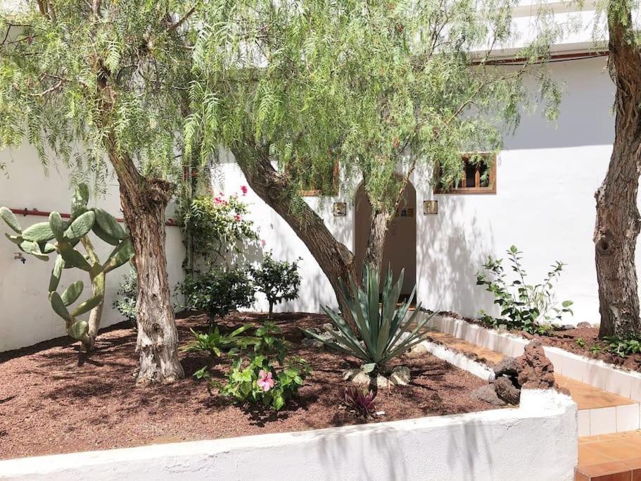 Apartamento Lucia Garden City Con Piscina Climatizada Playa Fanabe Luaran gambar