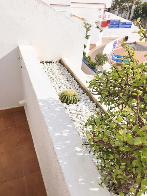 Apartamento Lucia Garden City Con Piscina Climatizada Playa Fanabe Luaran gambar