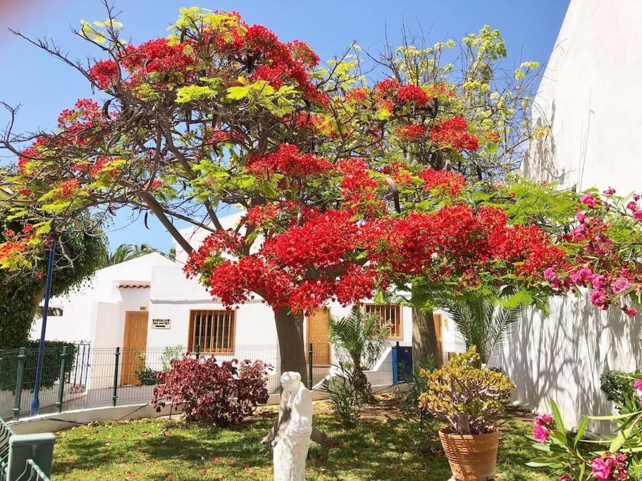 Apartamento Lucia Garden City Con Piscina Climatizada Playa Fanabe Luaran gambar